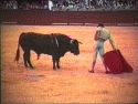 Bullfight: La Fiesta Brava